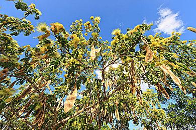 Netflix收购《狼奔豕突》开发商Night School